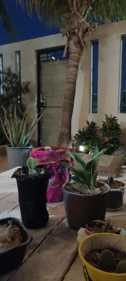Cho Ku Rei Hostal San José del Cabo Εξωτερικό φωτογραφία