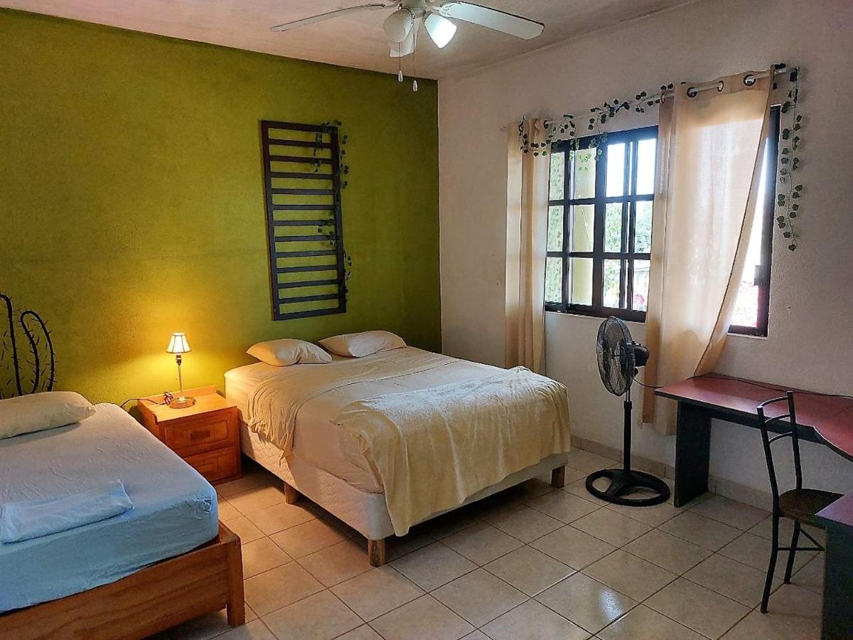 Cho Ku Rei Hostal San José del Cabo Εξωτερικό φωτογραφία